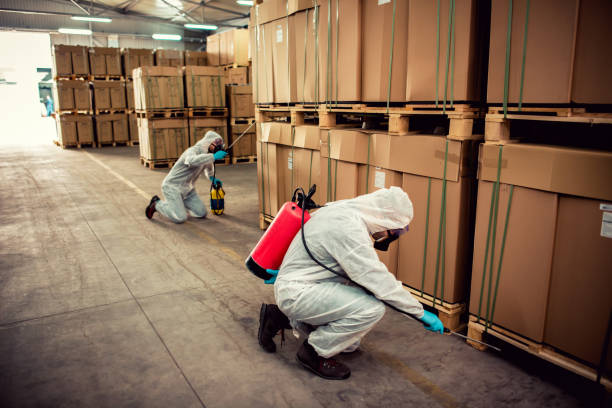 Best Residential Pest Control  in Madison Park, NJ