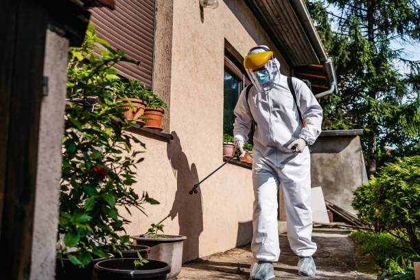 Best Best Pest Control Companies  in Madison Park, NJ