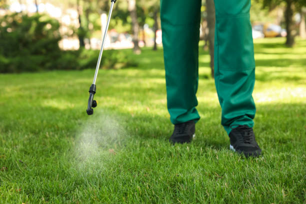 Best Pest Inspection Near Me  in Madison Park, NJ