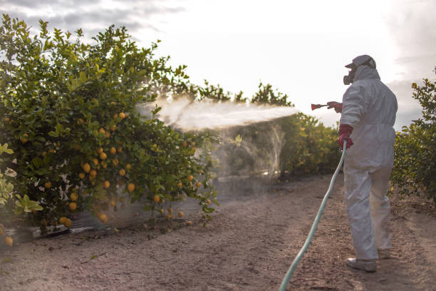 Best Best Pest Control Companies  in Madison Park, NJ