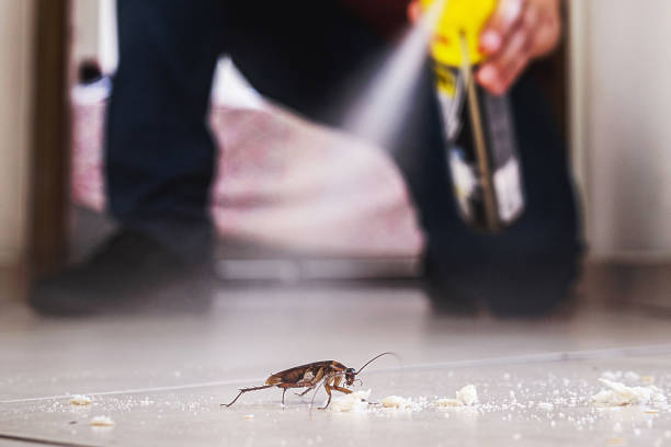 Pest Control for Restaurants in Madison Park, NJ